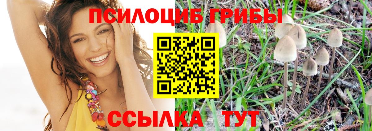 Пятигорск  Галлюциногенные грибы Psilocybine cubensis  Галлюциногенные грибы Psilocybine cubensis  Вход с VPN 